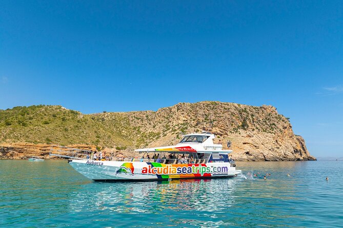 Dolphin Adventure: Fast Boat Dolphin Watching in Mallorca - The possible swim stop and the four-hour reality