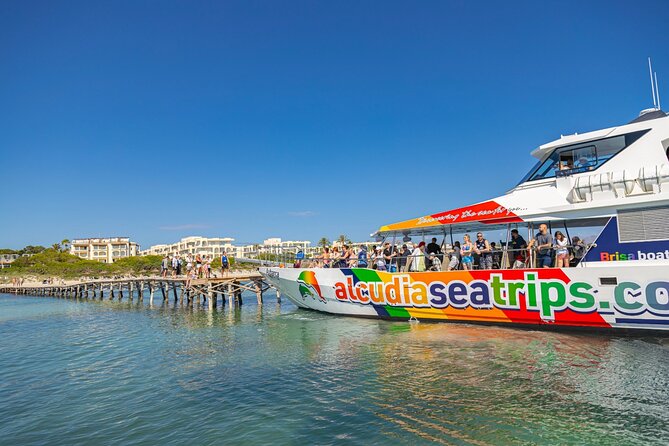 Dolphin Adventure: Fast Boat Dolphin Watching in Mallorca - Food, drinks, and the optional sangria upgrade
