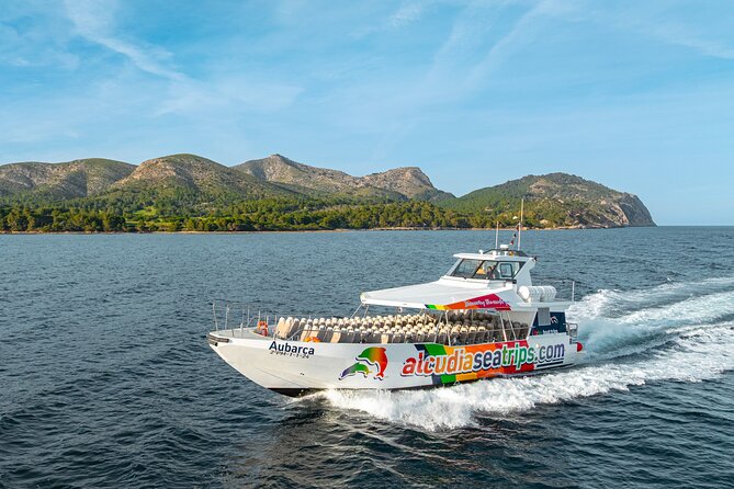 Dolphin Adventure: Fast Boat Dolphin Watching in Mallorca - AUBARCA, the new fast boat