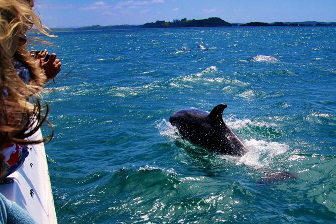 Dolphin Adventure in Sotogrande with Drink Included - Guadiaro and the river mouth