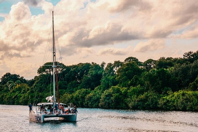 Dolphin Adventure Sail in Cocoa Beach - Key points to know before you book