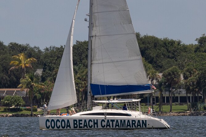 Dolphin Adventure Sail in Cocoa Beach - Dolphins, manatees, and the limits of wildlife tours