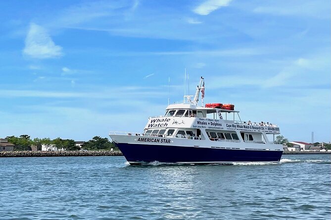 Dolphin and Bird Watching Ecotour Cruise - What happens once the boat leaves Schellenger Landing