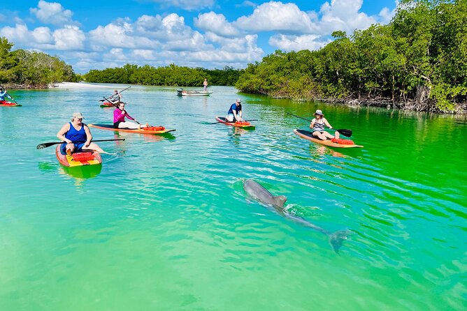 Dolphin and Manatee Adventure Tour of Fort Myers - Paddling through bays and mangrove areas