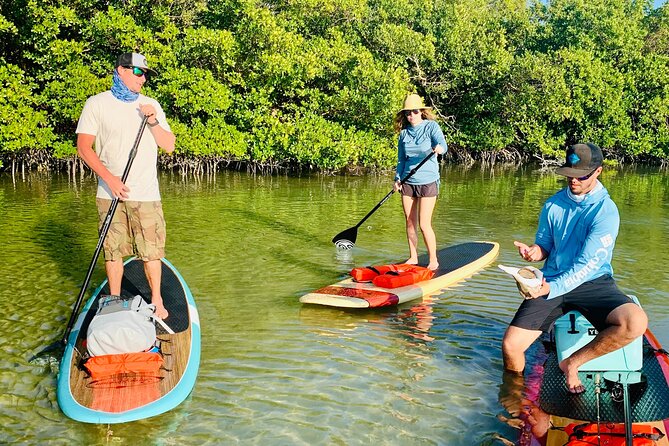 Dolphin and Manatee Adventure Tour of Fort Myers - Wildlife sightings: the honest version