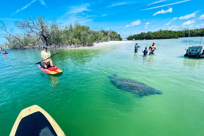 Dolphin and Manatee Adventure Tour of Fort Myers - The Fort Myers Beach stop and shell search