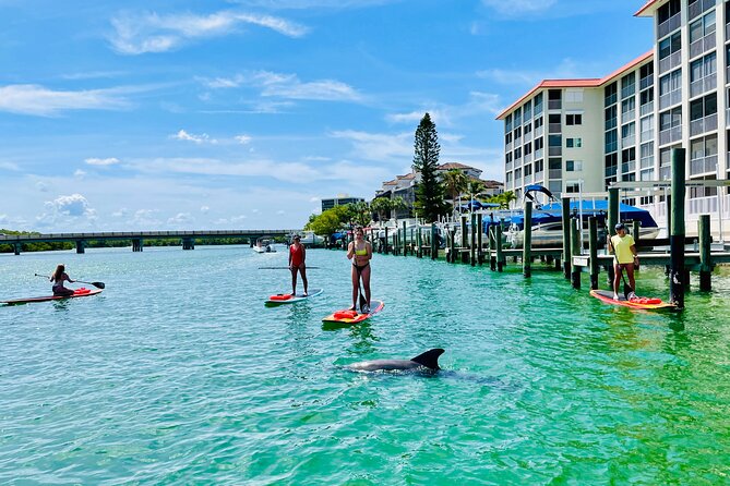 Dolphin and Manatee Adventure Tour of Fort Myers - Price, timing, and overall value