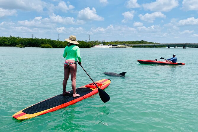 Dolphin and Manatee Adventure Tour of Fort Myers - Who should book this Fort Myers adventure?