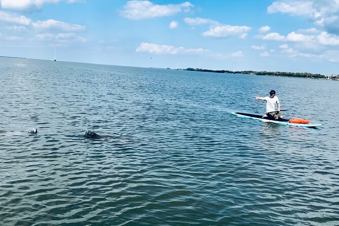 Dolphin and Manatee Adventure Tour of Merritt Island - The first paddle through Natural Florida