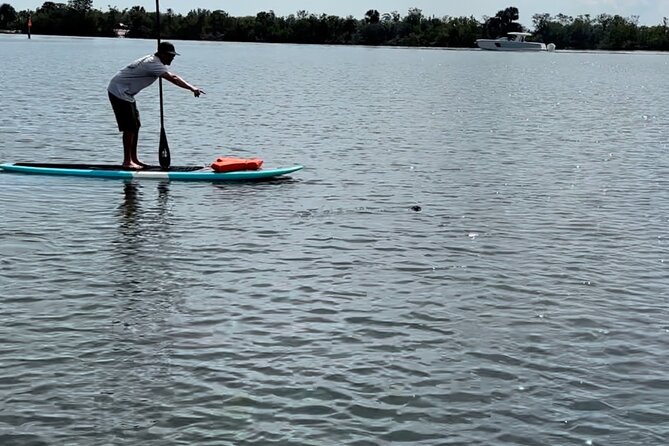 Dolphin and Manatee Adventure Tour of Merritt Island - The guide makes or breaks the outing