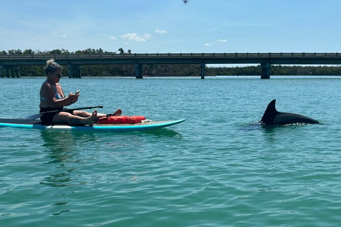 Dolphin and Manatee Adventure Tour of Naples with Florida History - Choosing a Kayak or Paddleboard