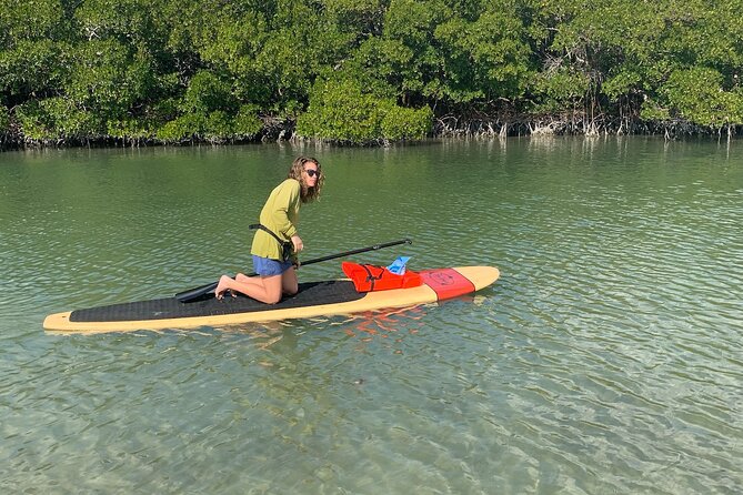 Dolphin and Manatee Adventure Tour of Naples with Florida History - Guides Who Shape the Experience
