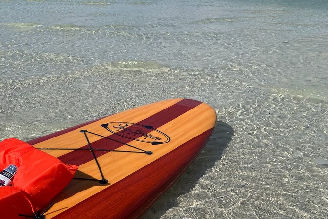 Dolphin and Manatee Adventure Tour of Naples with Florida History - Is $65 a Fair Price?