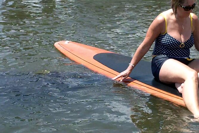 Dolphin and Manatee Adventure tour of Osprey with Florida History - Paddling from Osprey into Little Sarasota Bay