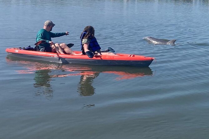 Dolphin and Manatee Adventure tour of Osprey with Florida History - Kayak or paddle board, with the basics already covered