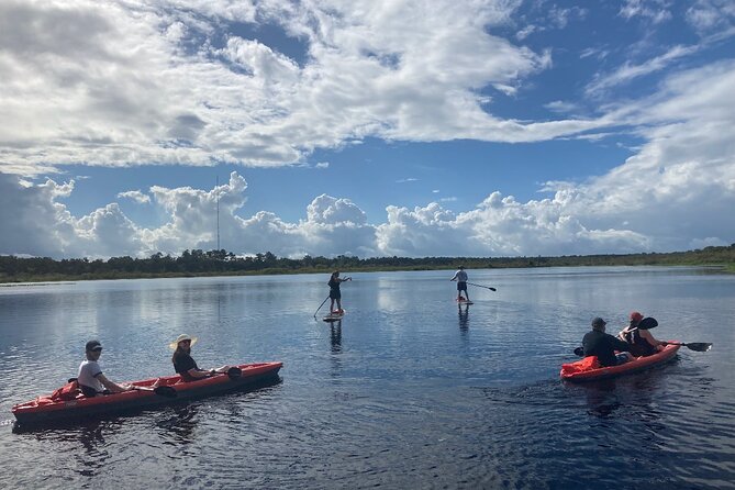 Dolphin and Manatee Adventure tour of Osprey with Florida History - What the 90 minutes in the bay are really like