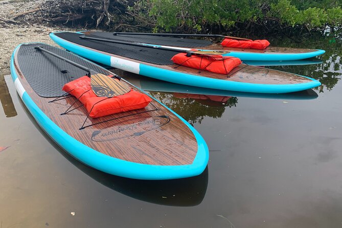 Dolphin and Manatee Adventure Tour of Sarasota with Olde Florida History! - What the two-hour Sarasota paddle feels like