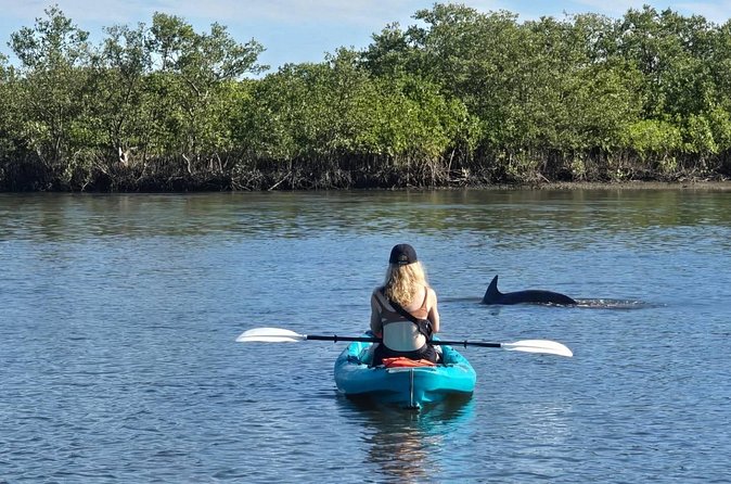 Dolphin and Manatee Adventure Tour of Sarasota with Olde Florida History! - Sea turtles, spoonbills, pelicans, and mangroves
