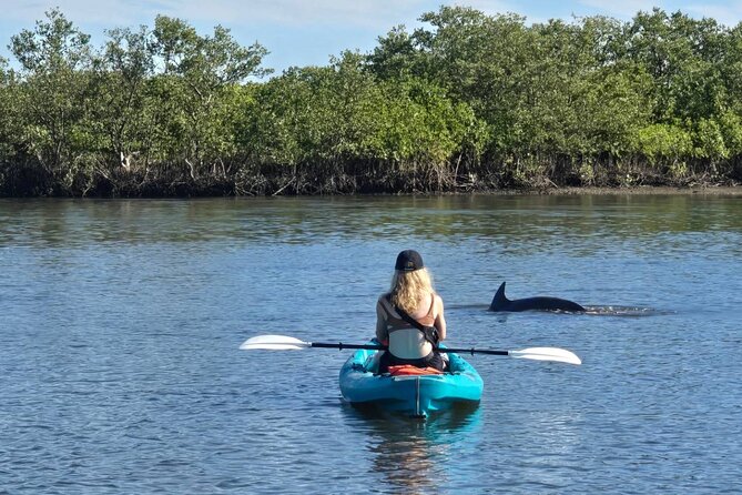 Dolphin and Manatee Adventure Tour of Sarasota with Olde Florida History! - Florida stories between wildlife sightings