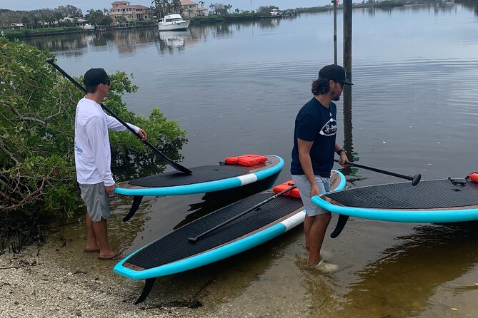 Dolphin and Manatee Adventure Tour of Sarasota with Olde Florida History! - Looking for dolphins beside the kayaks