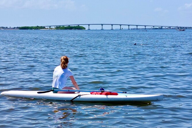 Dolphin and Manatee Clear Kayak or Paddleboard Tour - Optional swims and island time