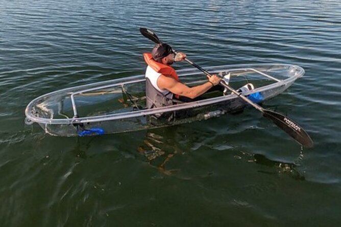 Dolphin and Manatee Clear Kayak or Paddleboard Tour - The sunset tour and LED-lit water