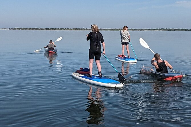 Dolphin and Manatee Clear Kayak or Paddleboard Tour - What the $75 price includes