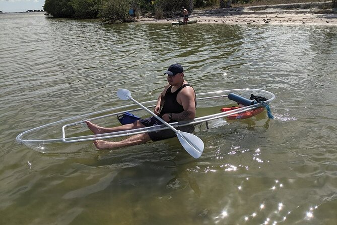 Dolphin and Manatee Clear Kayak or Paddleboard Tour - What makes the small group useful