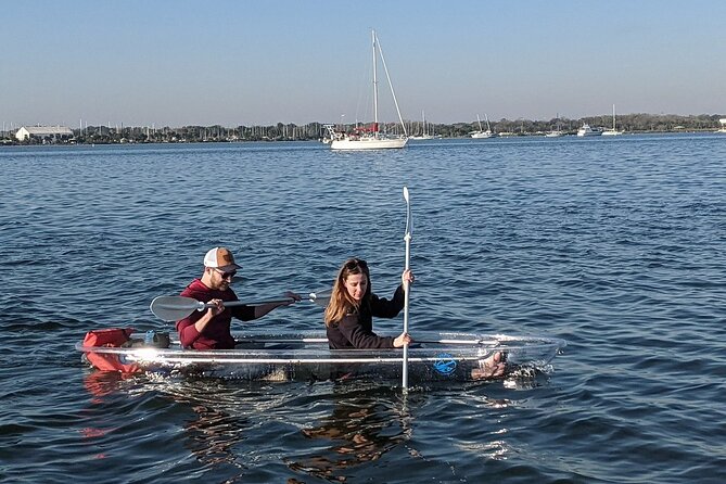 Dolphin and Manatee Clear Kayak or Paddleboard Tour - Two hours among dolphins and manatees