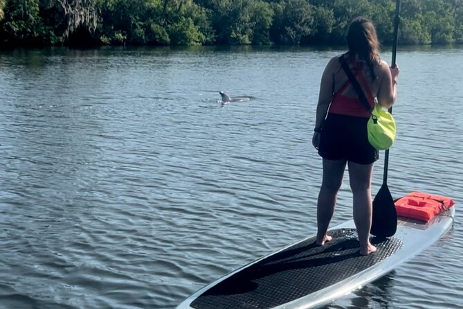 Dolphin and Manatee Kayak and SUP Adventure Tour of Cocoa Beach - The Banana River Manatee Refuge for about 90 minutes