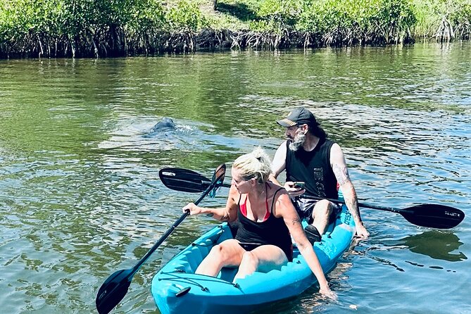 Dolphin and Manatee Kayak and SUP Adventure Tour of Cocoa Beach - The $65 price and what you receive