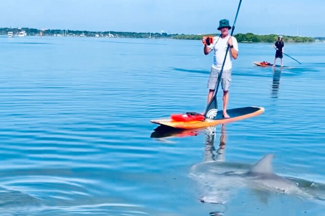 Dolphin and Manatee Kayak and SUP Adventure Tour of Cocoa Beach - Passing the Thousand Islands Conservation Area