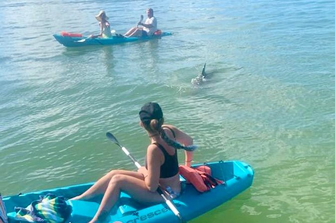Dolphin and Manatee Kayak Tour of Daytona Beach - Key points to know before booking