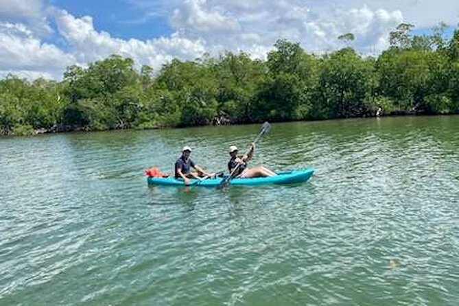 Dolphin and Manatee Kayak Tour of Daytona Beach - Who will enjoy this Daytona Beach paddle?