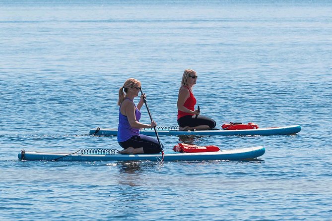 Dolphin and Manatee Stand Up Paddleboard Tour in Daytona Beach - A gentle start in Daytona Beach
