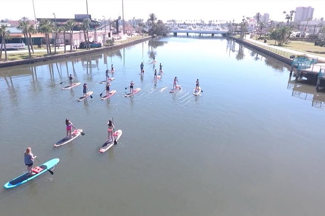 Dolphin and Manatee Stand Up Paddleboard Tour in Daytona Beach - Canals where dolphins and manatees may appear