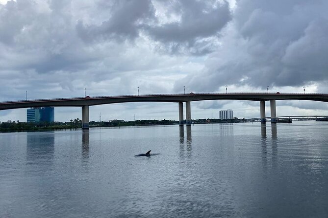 Dolphin and Manatee Stand Up Paddleboard Tour in Daytona Beach - The guides make the biggest difference