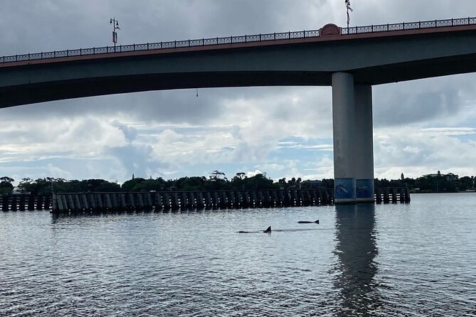 Dolphin and Manatee Stand Up Paddleboard Tour in Daytona Beach - Your first paddleboard lesson in the calm bay