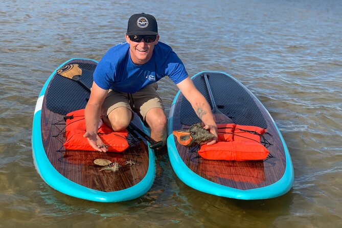 Dolphin and Manatee Tour of Marco Island by Kayak or SUP - Key points to know before you paddle