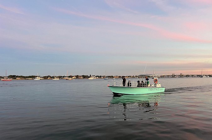 Dolphin and Nature Boat Excursion - What the guides add to the experience