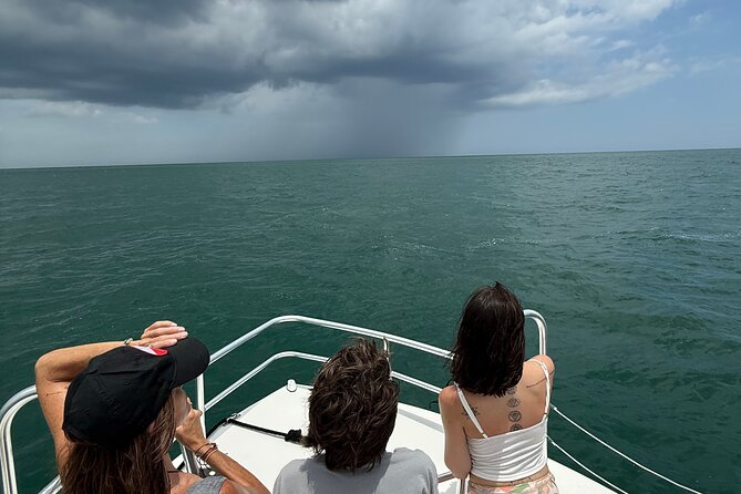 Dolphin and Nature Boat Excursion - How much value does the excursion offer?