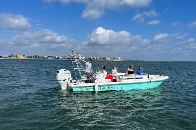 Dolphin and Nature Boat Excursion - Looking for Atlantic bottlenose dolphins