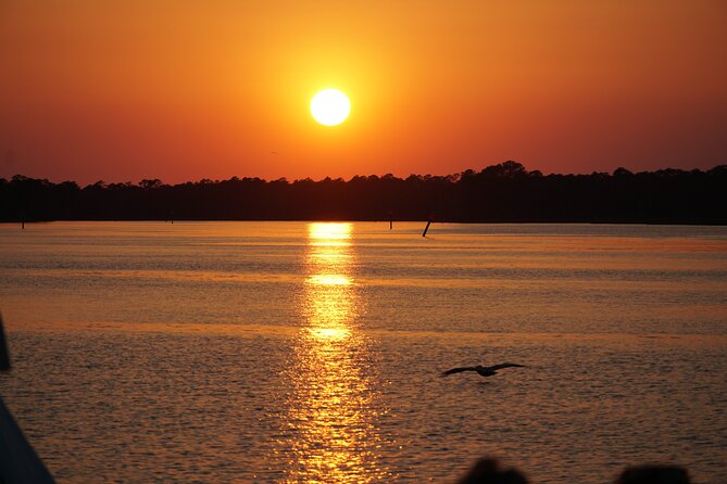 Dolphin and Nature Sunset Cruise from Orange Beach - Key things to know before you book