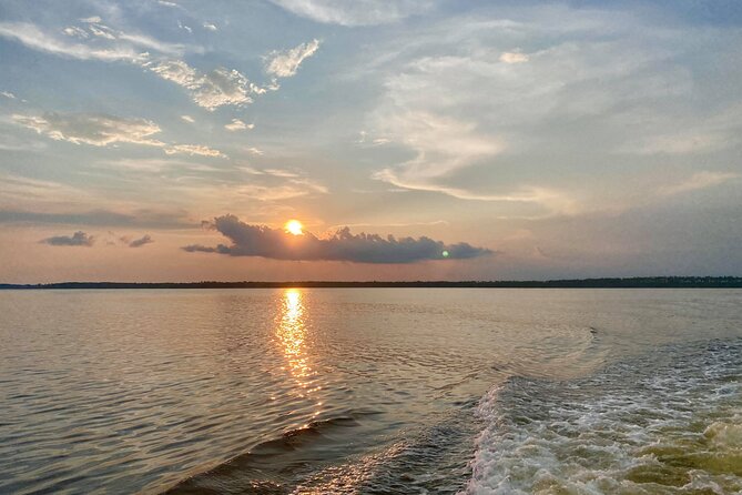 Dolphin and Nature Sunset Cruise from Orange Beach - Sunset from the water