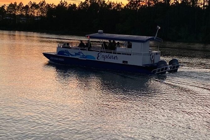 Dolphin and Nature Sunset Cruise from Orange Beach - Shallow creeks and back-bay wildlife