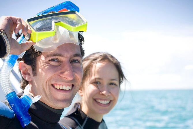 Dolphin and Seal snorkel adventure from Sorrento - Who will enjoy this Sorrento cruise most