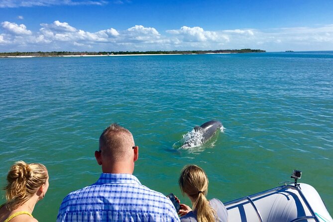 Dolphin and Shelling Cruise for up to 12 people - Morning or afternoon: choosing the better fit