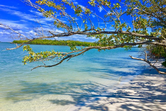 Dolphin and Shelling Cruise for up to 12 people - Who will enjoy this cruise most