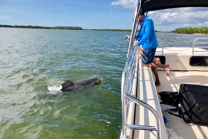 Dolphin and Shelling Cruise for up to 12 people - Practical booking advice before you go