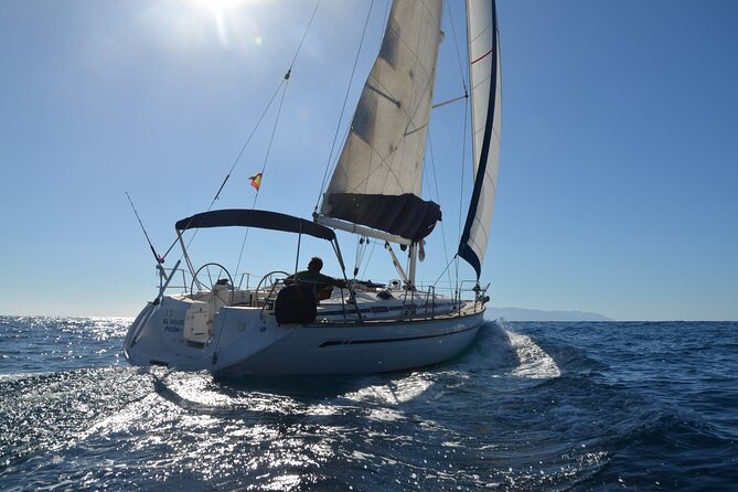 Dolphin and Whale Sailing Tour in Los Gigantes - Key points to know